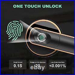 Fingerprint Door Lock Smart Door Lock Biometric Door Knob Keyless Black L-B201